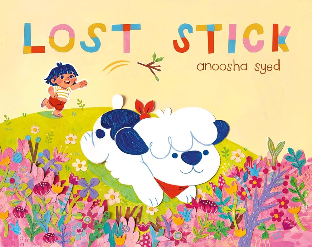 Lost Stick by Anoosha Syed book cover