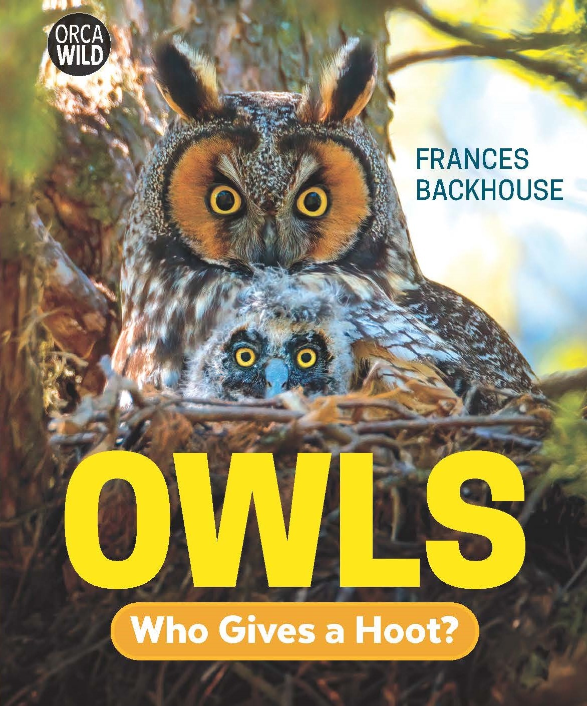 Owls: Who Gives a Hoot? book cover